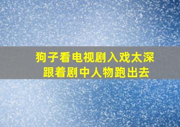 狗子看电视剧入戏太深 跟着剧中人物跑出去